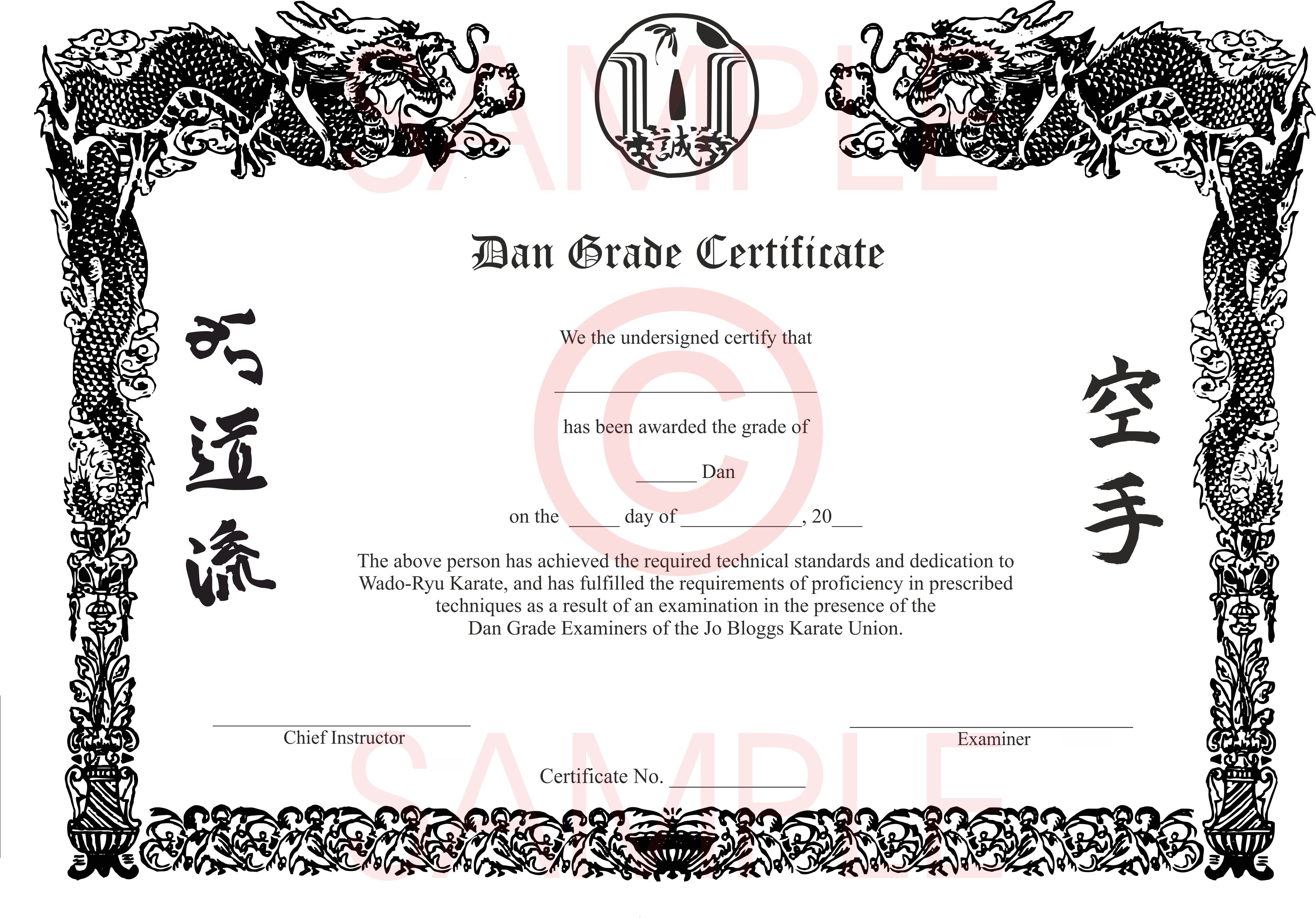 an award certificate with chinese writing on it