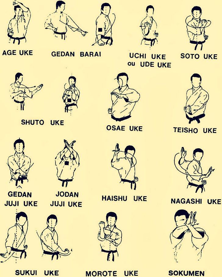 Karate | Martial Arts | Pinterest | Facebook, Karate and Judo